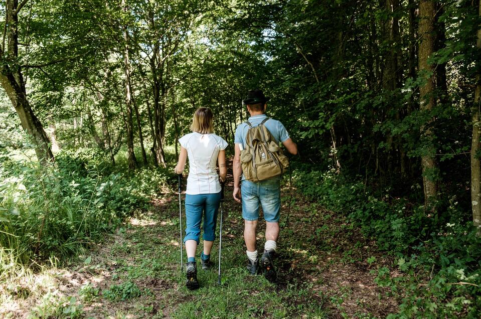 Wandern in Bad Loipersdorf | © Gemeinde Bad Loipersdorf