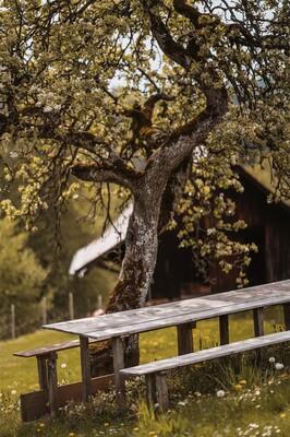 Imagefotografie©MichaelaLorber-01251 | © Michaela Lorber