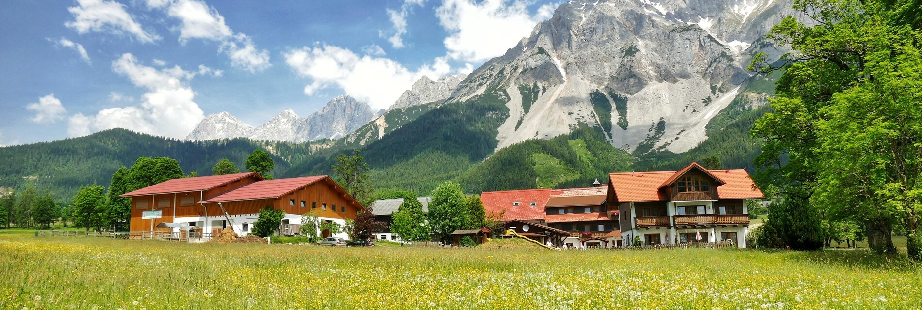 Minzlhof im Sommer