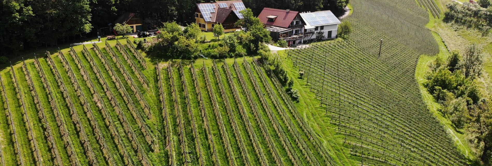 DJI_0297