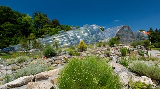 Der Botanische Garten in Graz mit Gewächshäusern und Pflanzenlandschaft. | © Graz Tourismus - Harry Schiffer