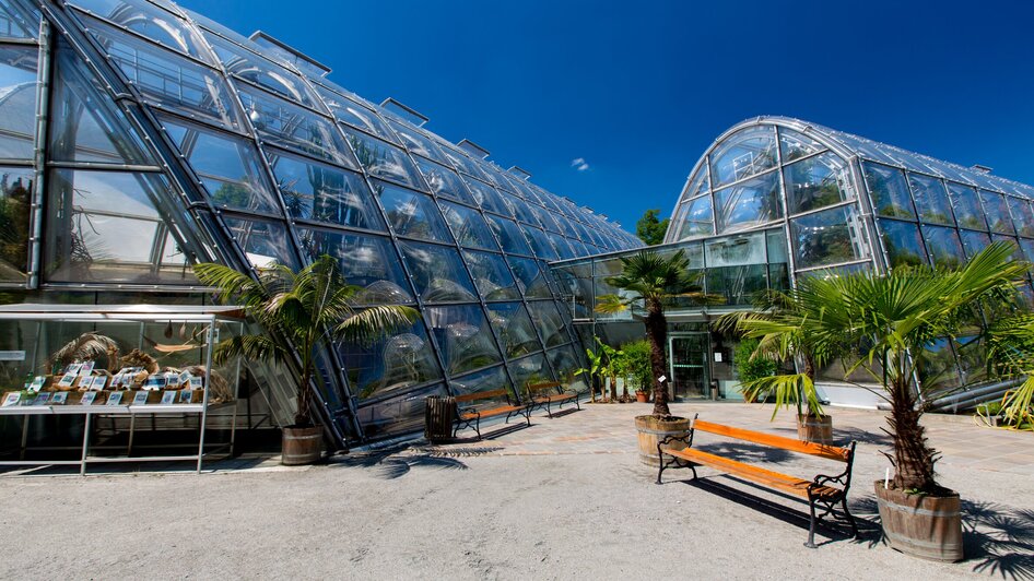 Glasarchitektur im Botanischen Garten in Graz mit Palmen.