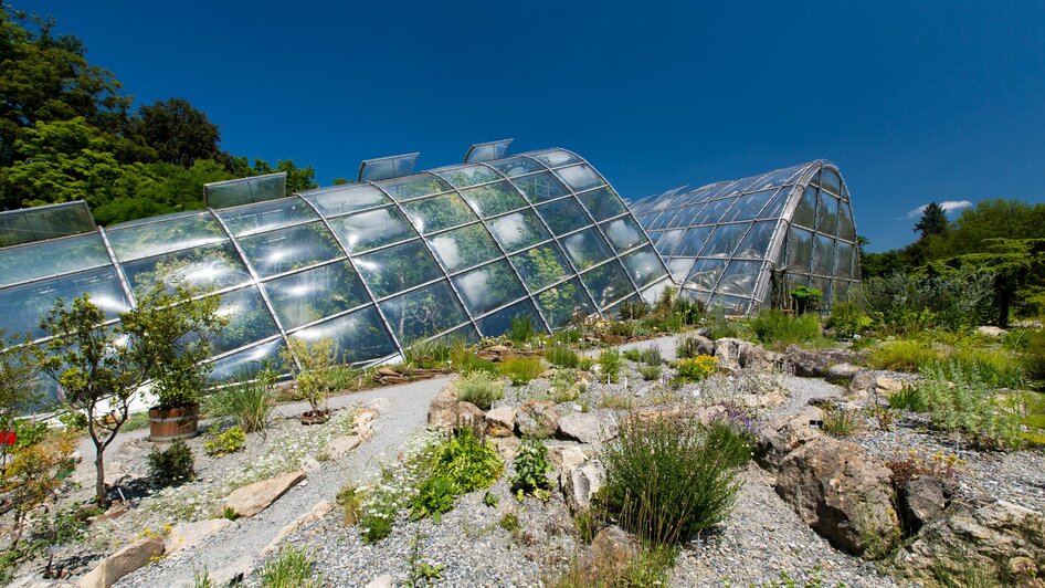 Gewächshäuser umgeben von Pflanzen im Botanischen Garten in Graz.