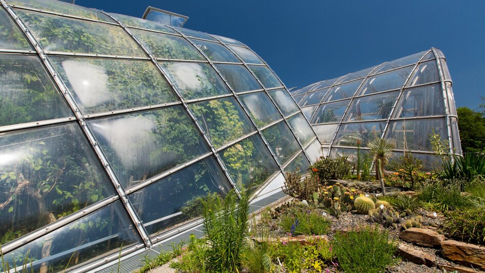 Gewächshäuser im Botanischen Garten in Graz unter blauem Himmel.