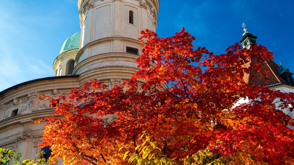 Herbstliche Farben um den Grazer Dom unter klarem blauen Himmel. | © Graz Tourismus - Harry Schiffer