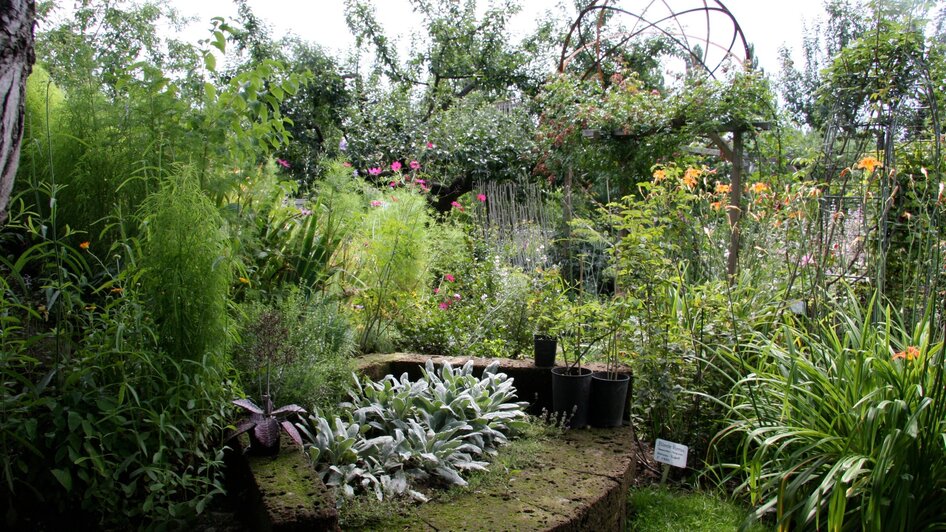 Ein blühender Garten mit Pflanzen und bunten Blumen.