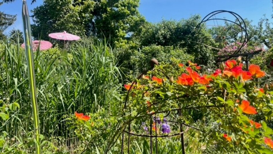 Bunter Garten mit blühenden Pflanzen und pinkem Sonnenschirm.