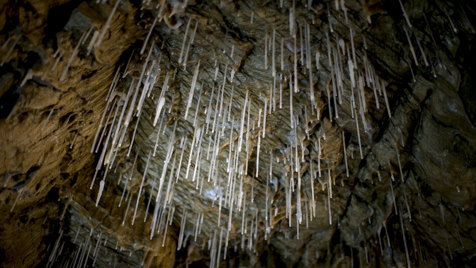 Blick auf die Stalaktiten in der Lurgrotte Peggau. | © Region Graz - Tom Lamm