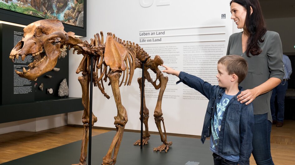 Besucher zeigen auf ein Skelett eines prähistorischen Tieres.