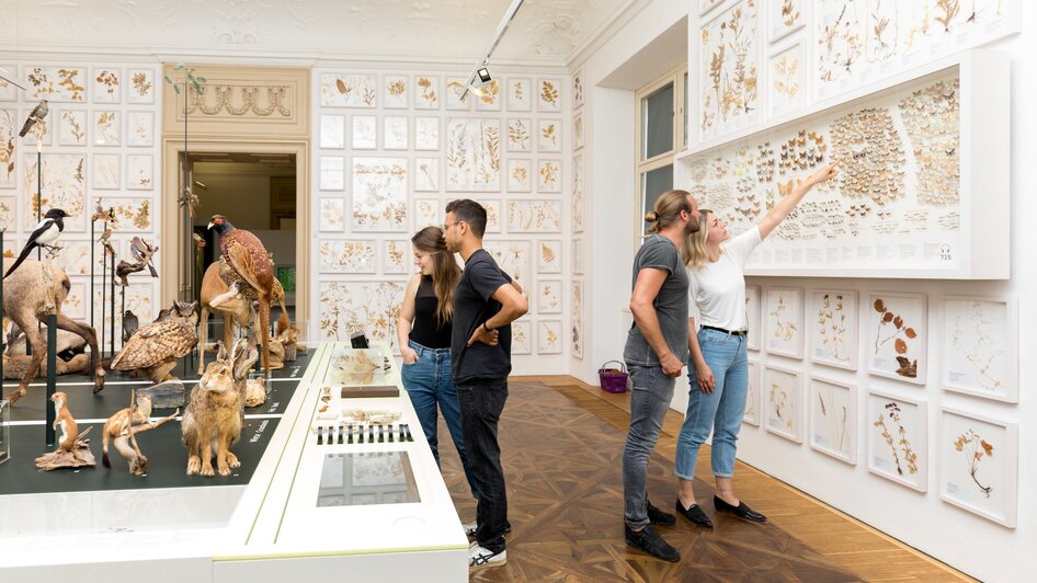 Besucher im Naturkundemuseum betrachten Ausstellungsstücke und Informierungstafeln.