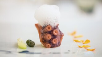 Ein kunstvoll angerichtetes Gericht mit Tintenfisch und Schaum. | © Restaurant Artis