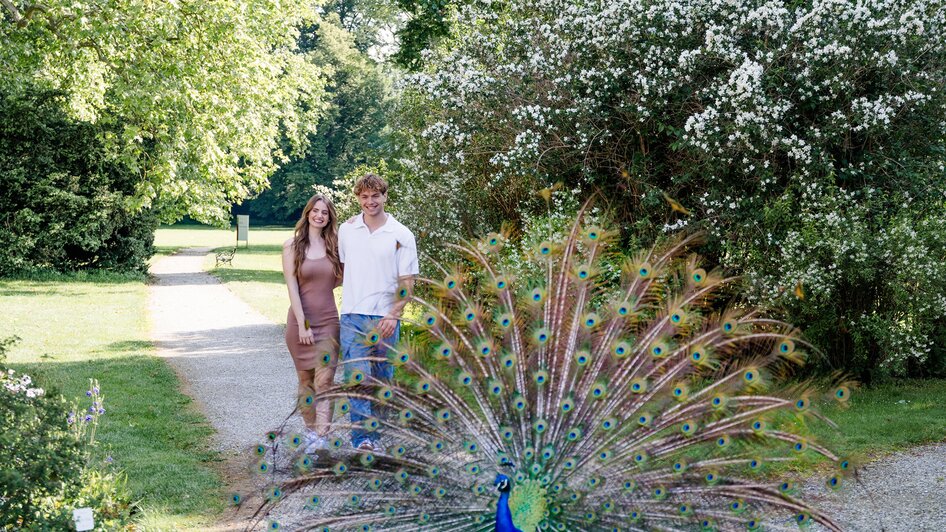 Ein Paar posiert im Schlosspark, ein Pfau entfaltet sein Rad.