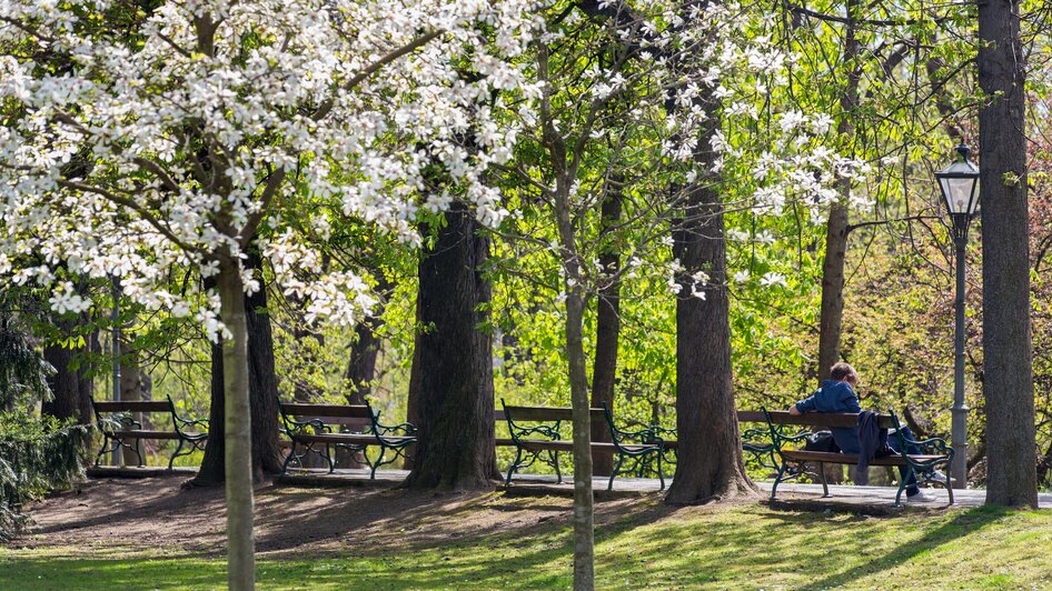 Eine Szene im Stadtpark in Graz, umgeben von blühenden Bäumen.