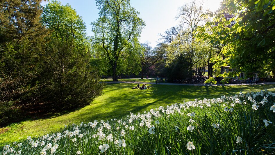 Ein schöner Stadtpark in Graz mit grünen Wiesen und Blumen.