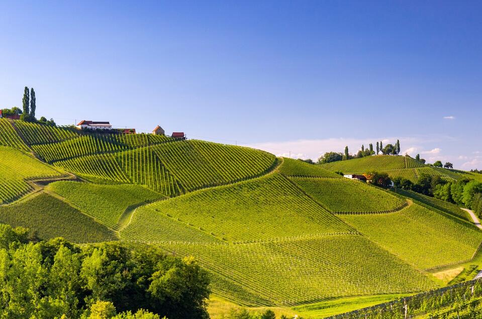 Südsteirische Weinstraße  - Impression #1 | © Steiermark Tourismus/Harry Schiffer