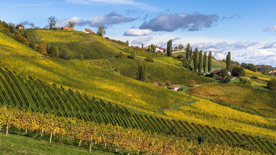 Südsteirische Weinstraße | © Steiermark Tourismus - Harry Schiffer
