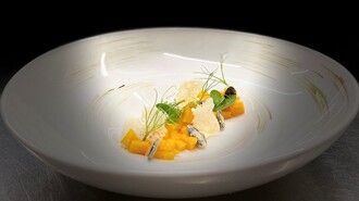 Ein kunstvoll angerichtetes Gericht mit Mango, Garnitur und Kräutern. | © Julian Wallner