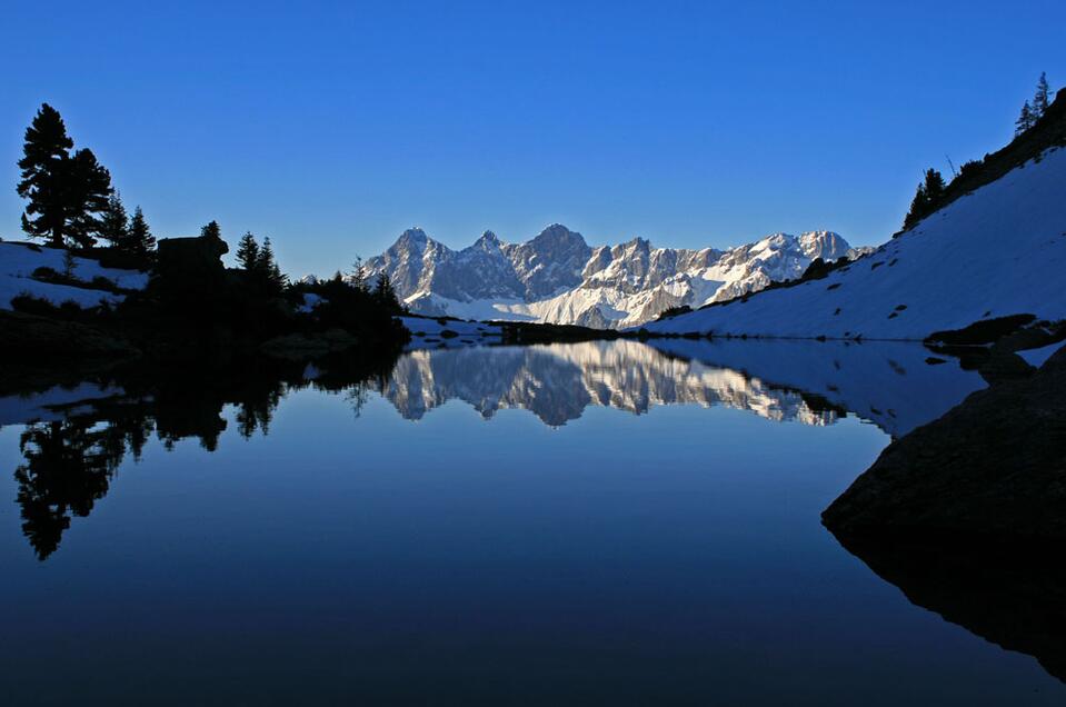 Alois Strimitzer | © Alois Strimitzer
