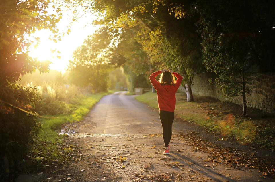 Ganzkörper Workout -Natur. Kraft. Plätze  4-Elemente-Platz an Fürstensteig - Impression #1 | © Symbolbild Pixabay