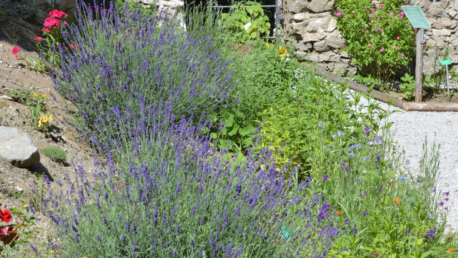 Gartenstammtische im Jesuitengarten - Impressionen #2.2