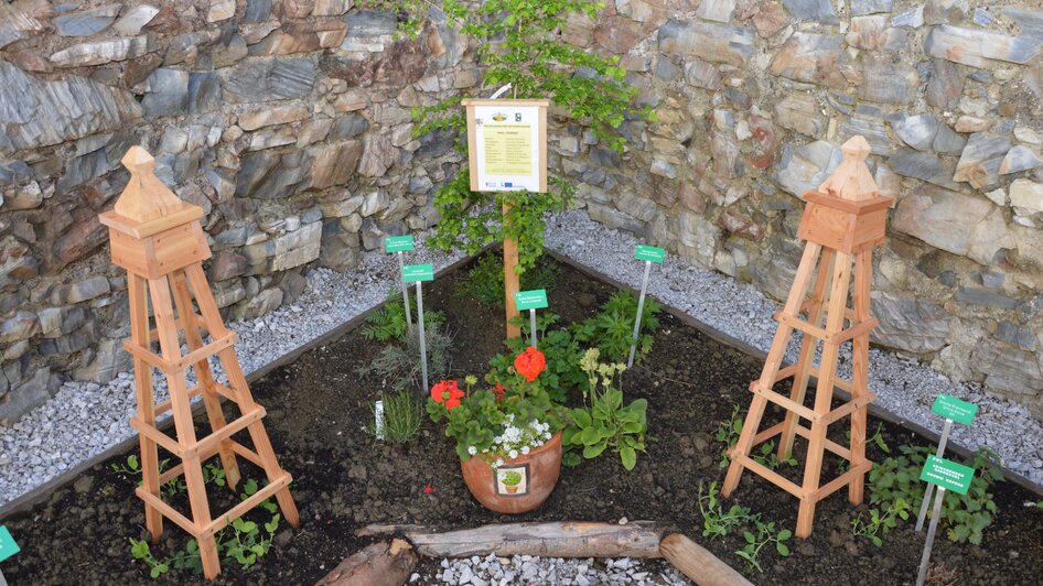 Gartenstammtische im Jesuitengarten - Impressionen #2.3