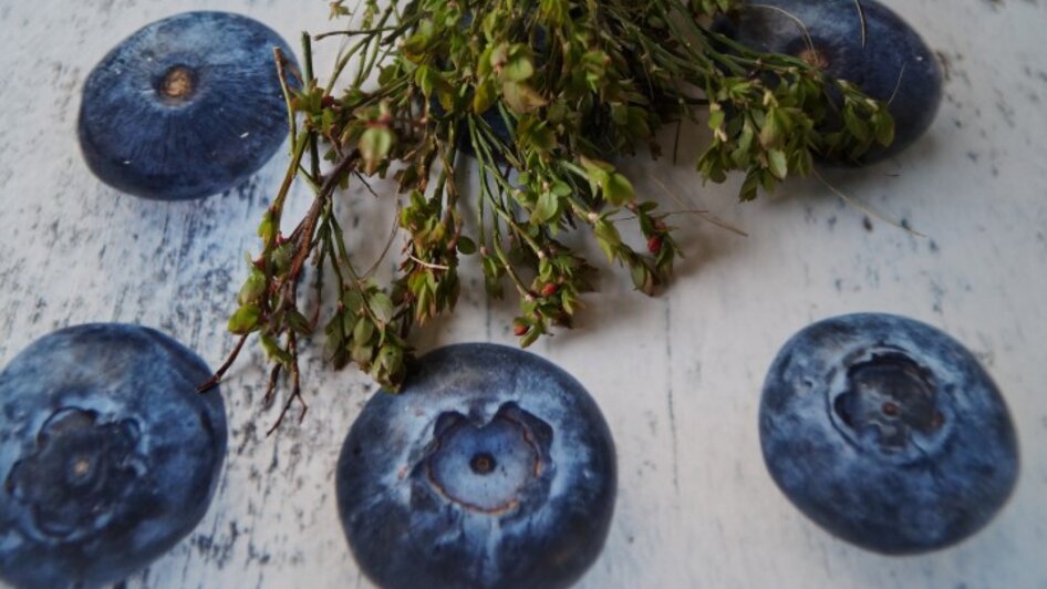 Genusstag "Schwammerl und Beeren" - Impressionen #2.2 | © Marianne Ritzinger 