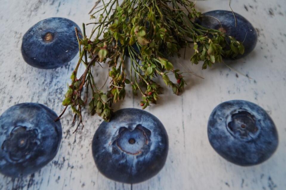Genusstag "Schwammerl und Beeren" - Impression #1 | © Marianne Ritzinger 