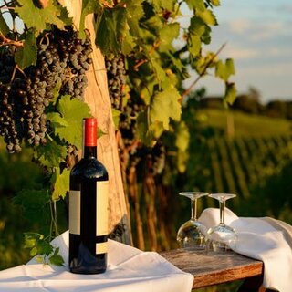Weinabend  | © Häuserl im Wald