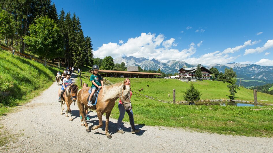 Wild Wild West, Seiterhof - Impressionen #2.2 | © Dominik Steiner