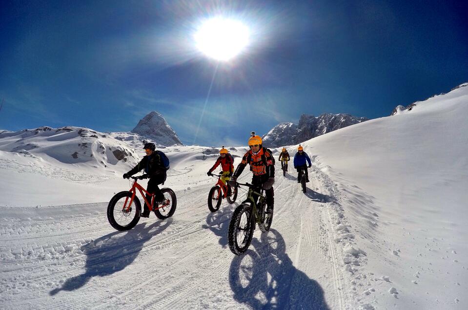 Alpine Fatbike - Impression #1