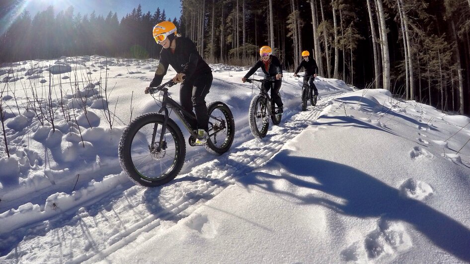 Fatbiken auf Waldwegen. 