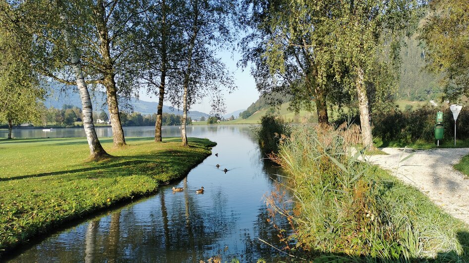 Ostufer Putterersee | © Landentwicklung Steiermark