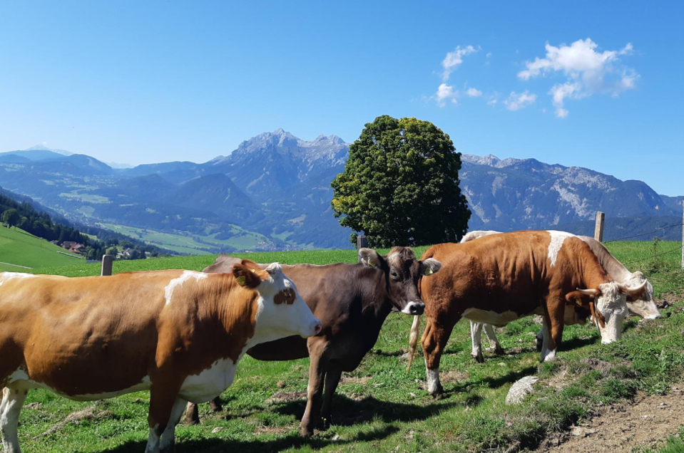 Organic products from Hirzhof - Impression #1