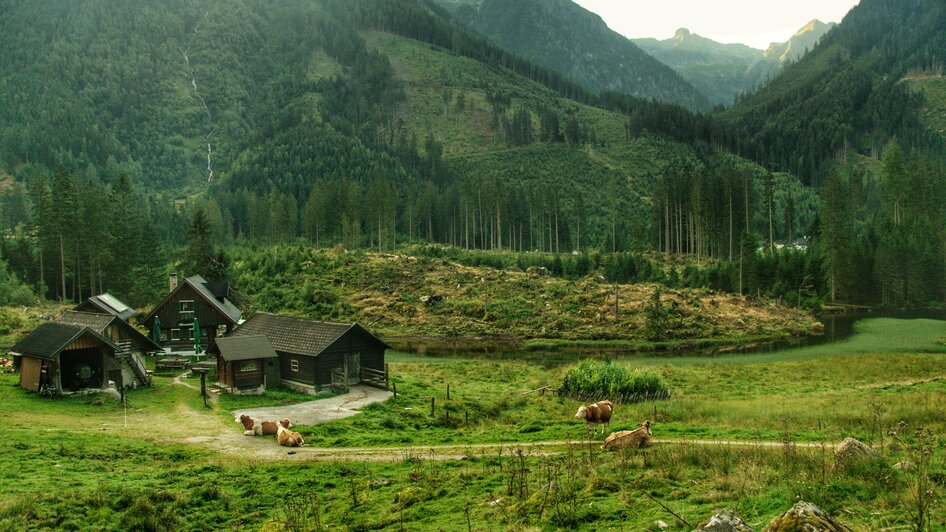Harmeralm, Kleinsölk | © Marlene Eggmayr
