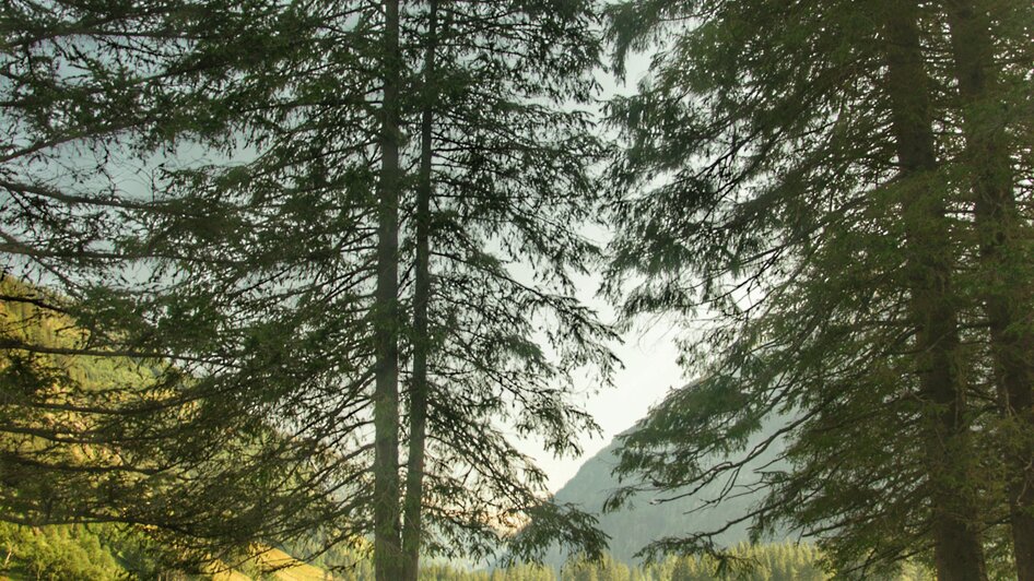 Schwarzensee, Kleinsölk | © Marlene Eggmayr