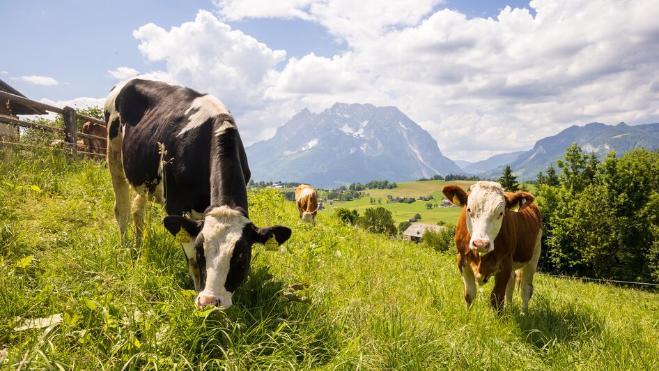 Schladming-Dachstein, Genusspartner, Hüttstädterhof | © (c) Martin Huber - all rights reserved | Martin Huber Hüttstädterhof
