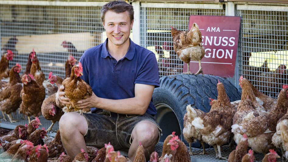 Hühner am Landgut Putterer