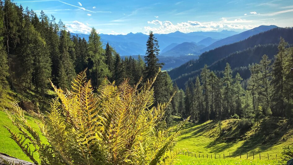 Blick ins Tal | © ©KajetanGerharter Lärchbodenalm - Impression #2.15 | © ©KajetanGerharter