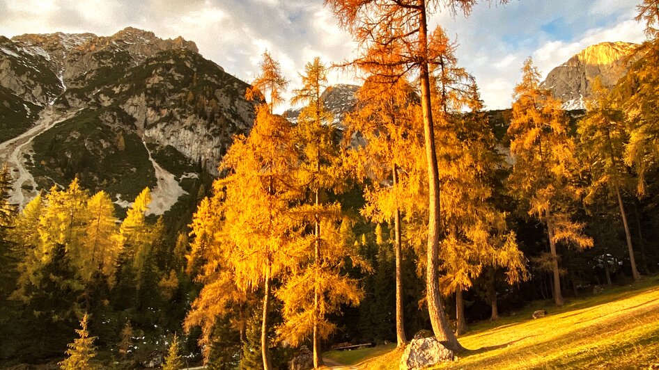 Goldener Herbst | © ©KajetanGerharter Lärchbodenalm - Impression #2.18 | © ©KajetanGerharter