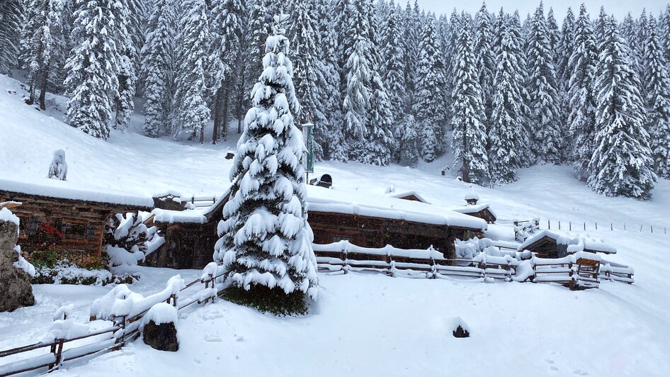 Schneeeinbruch | © ©KajetanGerharter Lärchbodenalm - Impression #2.20 | © ©KajetanGerharter