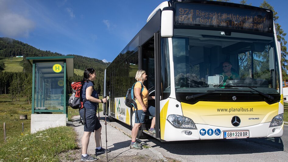 MIt dem Gelenksbus zu den schönsten Plätzen der Region Schladming-Dachstein unterwegs | © Harald Steiner