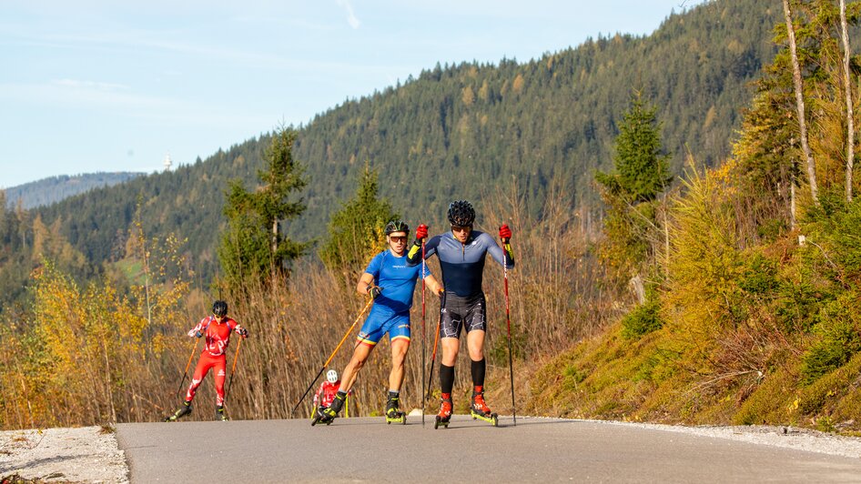 Rollerstrecke Ramsau am Dachstein - Impression #2.3