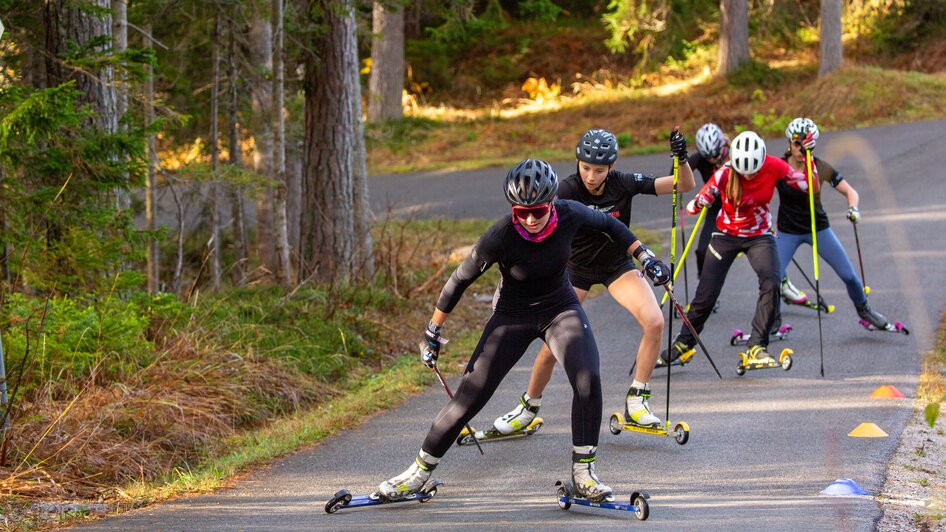 Rollerstrecke Ramsau am Dachstein - Impression #2.4