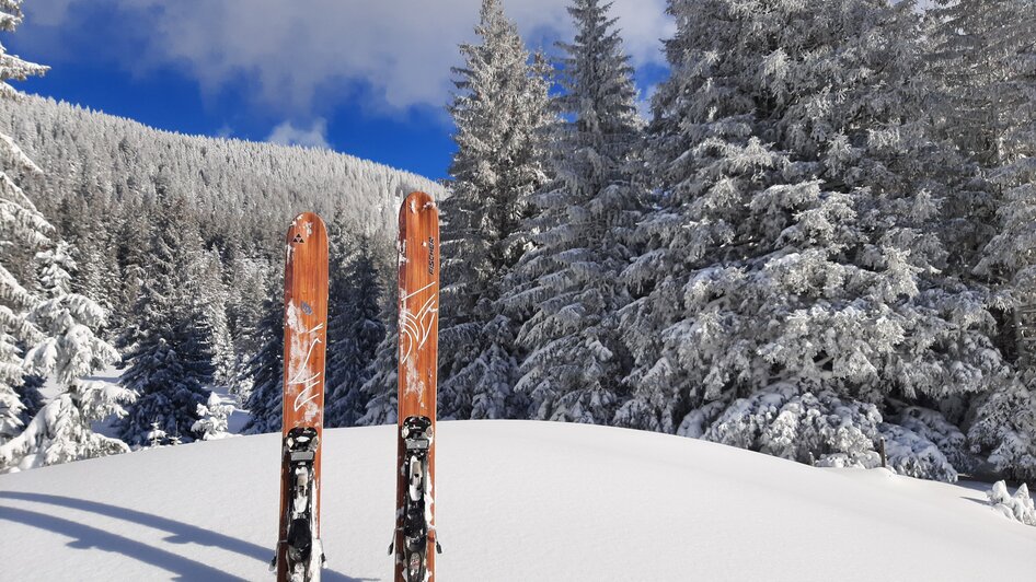 Spechtenseelift - Das Familien-Skiparadies in Wörschachwald - Impression #2.6 | © Schachner Bernhard - Marktgemeinde Stainach-Pürgg