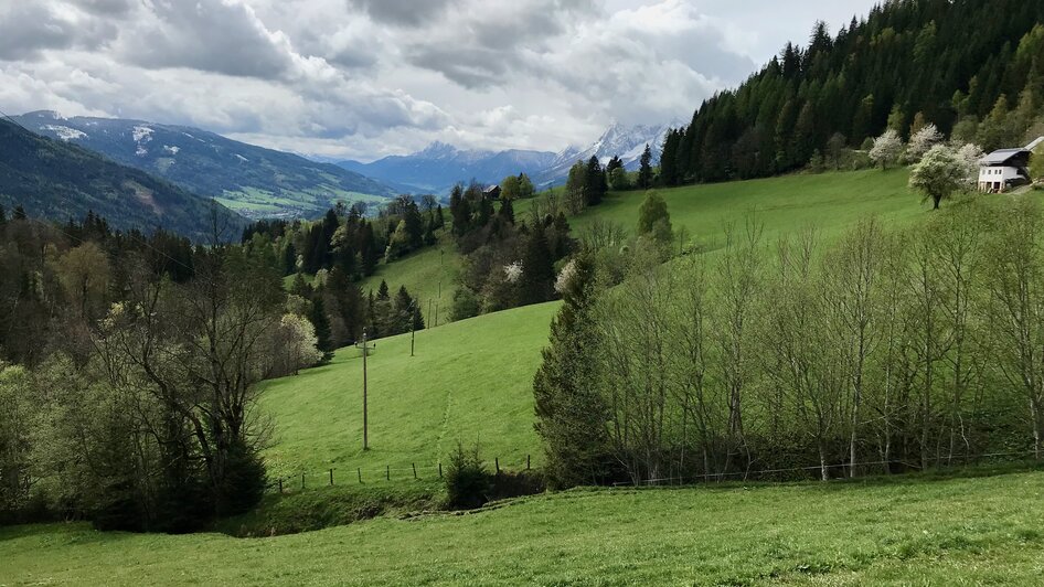 Auf dem Weg zur Stalingradkapelle | © Sabine Schulz