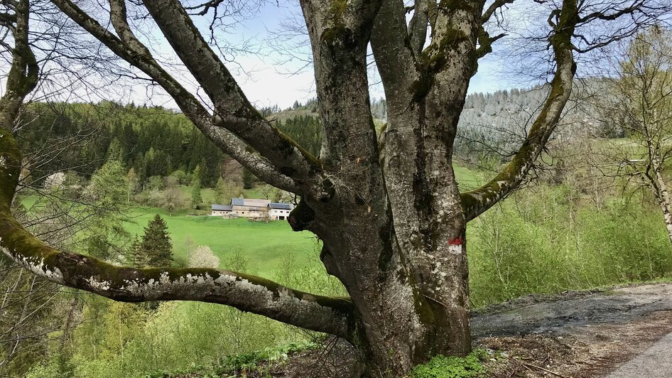 Am Ausgangspunkt der Wanderung | © Sabine Schulz