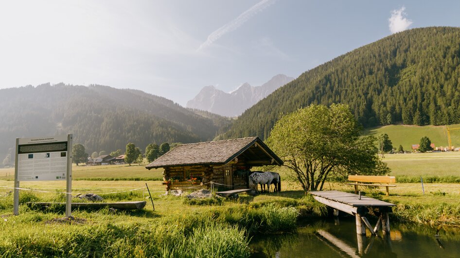 Sternenhimmel in der Ramsau | © Gerald Grünwald 