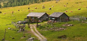 Tagalm  | © Tagalm 